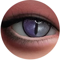 26.webp